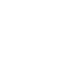 ویپ ایکس